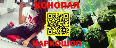 ПСИЛОЦИБИНОВЫЕ ГРИБЫ Заволжье