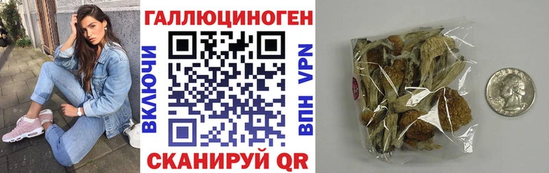 даркнет сайт  Михайловка  Галлюциногенные грибы прущие грибы 
