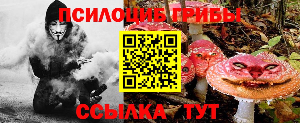 Псилоцибиновые грибы мицелий Михайловка