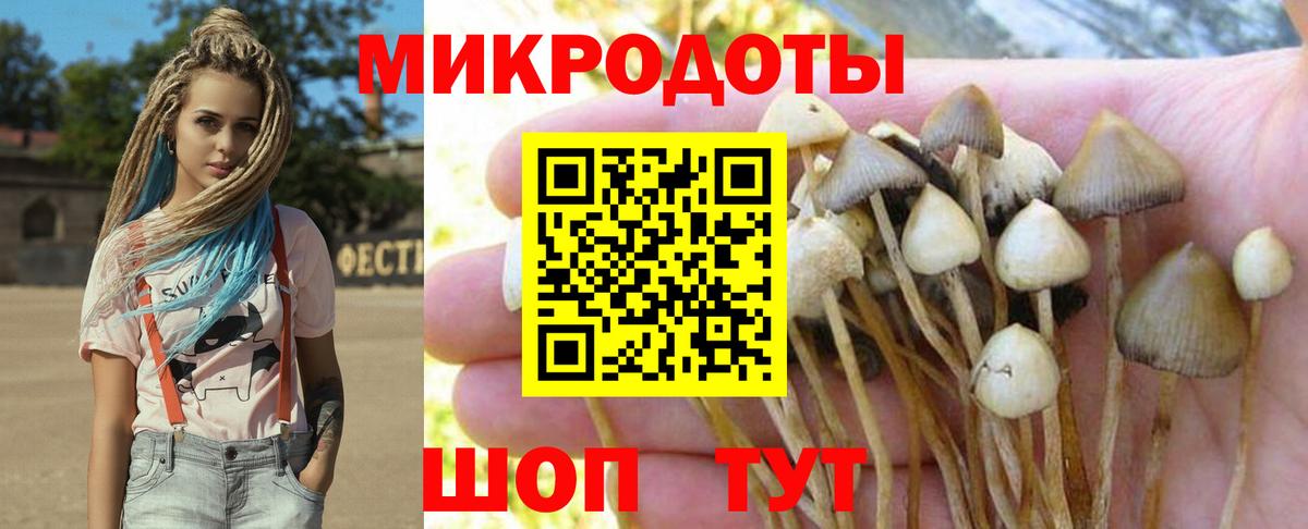 Михайловка  Псилоцибиновые грибы Magic Shrooms  цены   Вход с VPN  Псилоцибиновые грибы ЛСД 